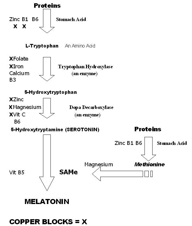 The 5-htp Pathway to Melatonin with Copper Blocks